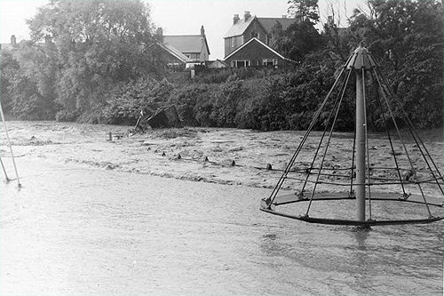 witcheshatplaynies jpg