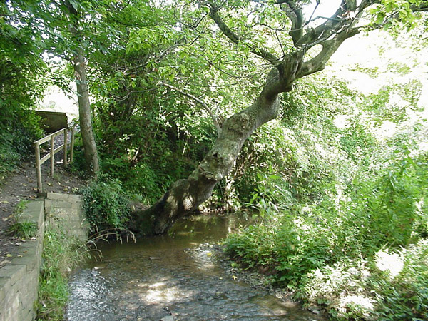 19990924abergele067