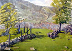 drystonewalledfield jpg